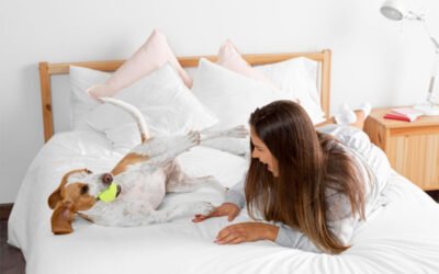 En Mandala Hotels Medellín somos Pet Friendly